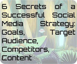 6 Secrets of a Successful Social Media Strategy: Goals, Target Audience, Competitors, Content